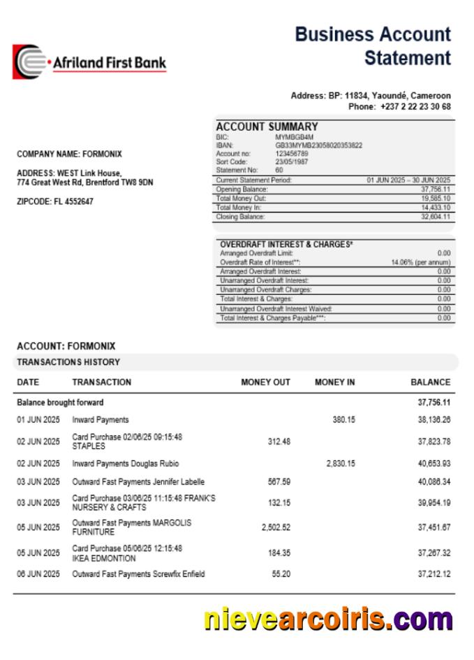 Afriland First organization checking account statement